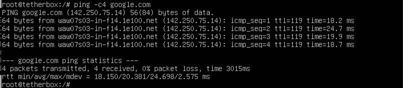 Ping google.com showing success